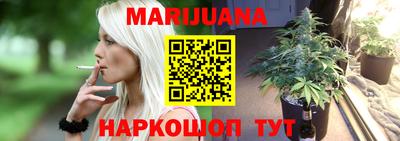 шишки Будённовск