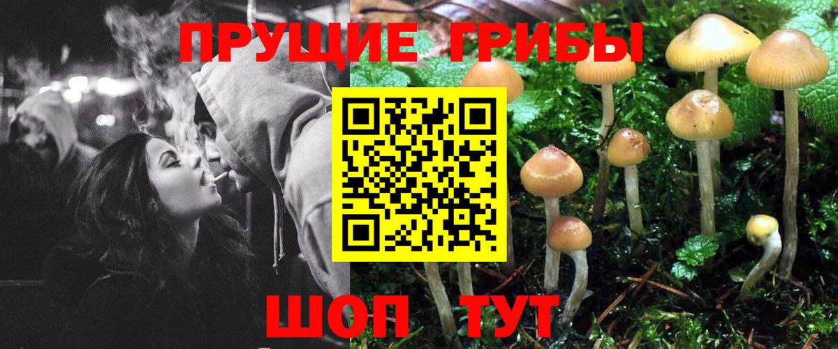 Псилоцибиновые грибы MAGIC MUSHROOMS  Вход с VPN  Галлюциногенные грибы MAGIC MUSHROOMS  Петрозаводск 