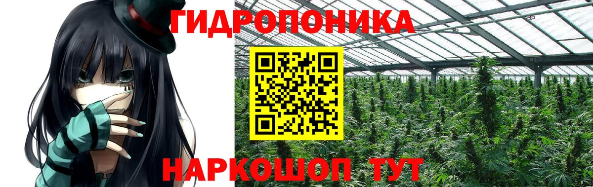 Бошки марихуана White Widow  Шишки марихуана марихуана  Марихуана планчик  Петрозаводск  МАРИХУАНА сатива  Вход с VPN 